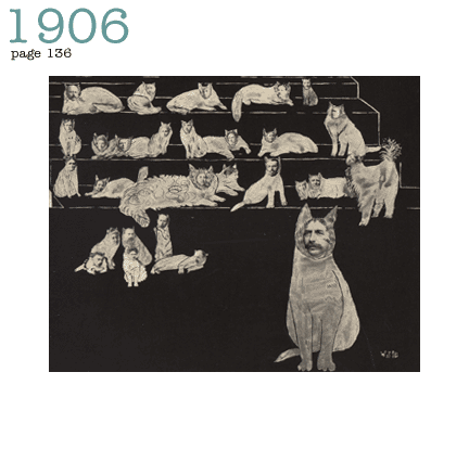 Faculty as cats